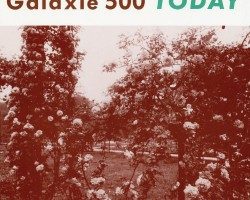 Galaxie 500 – Flowers
