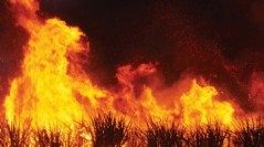 Nouveau titre des Sleigh Bells à découvrir