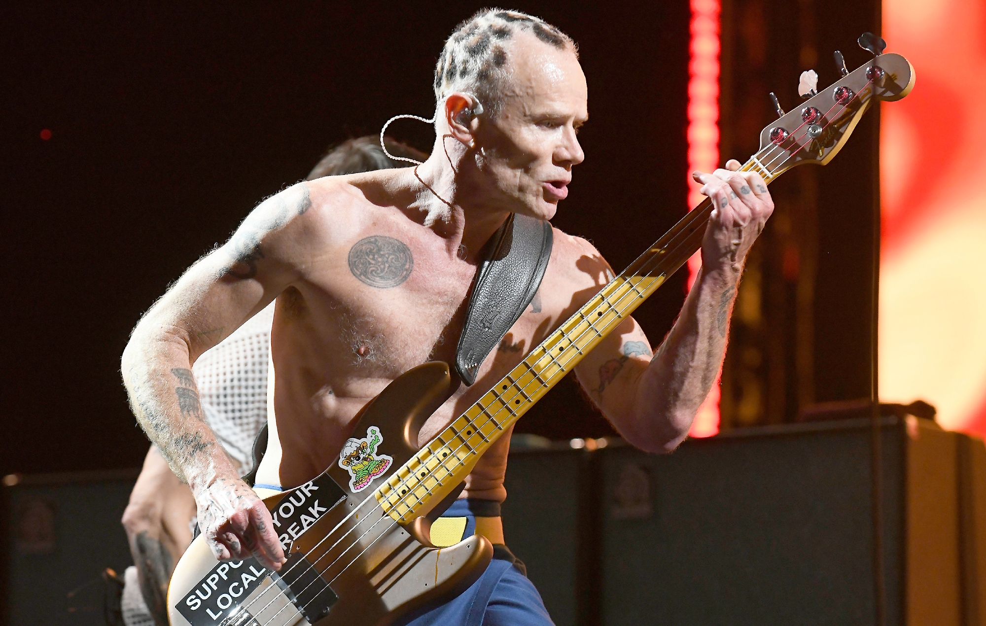 Puce (Photo de Tim Mosenfelder/Getty Images)