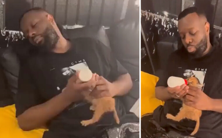Après sa vidéo, Gims salement humilié par la Ligue des Animaux « Remettez vos lunettes et… »