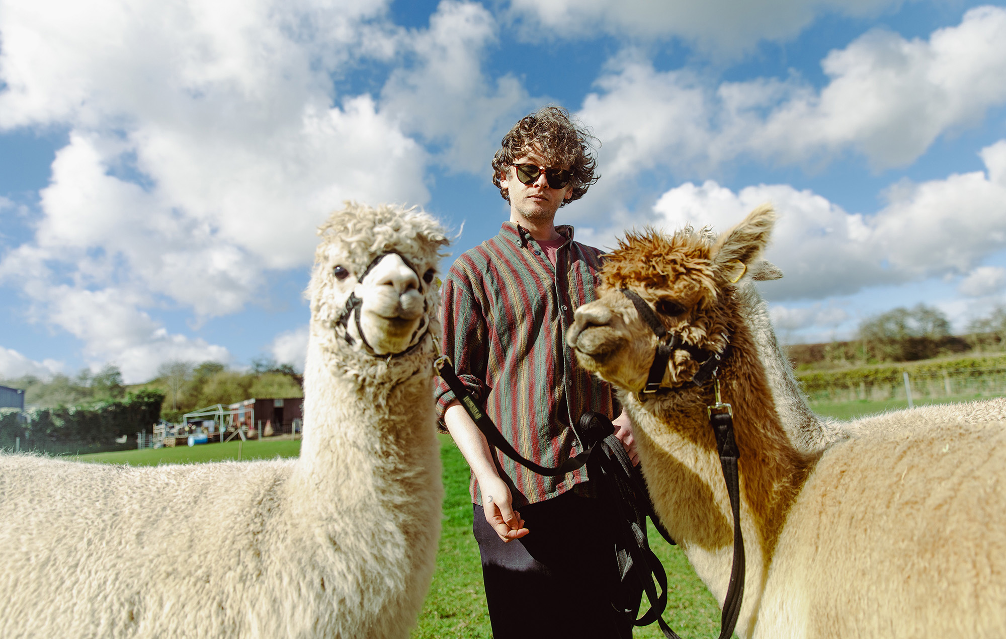Bill Ryder Jones