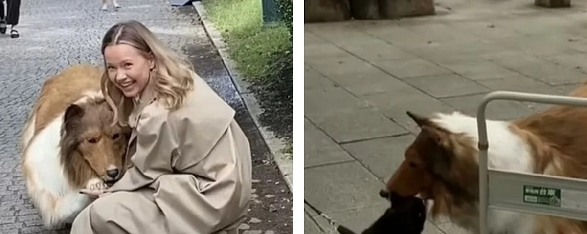 Insolite : Le Japonais qui a dépensé 14 000 euros pour devenir un chien, « Je ne veux pas que mes hobbies soient connus »
