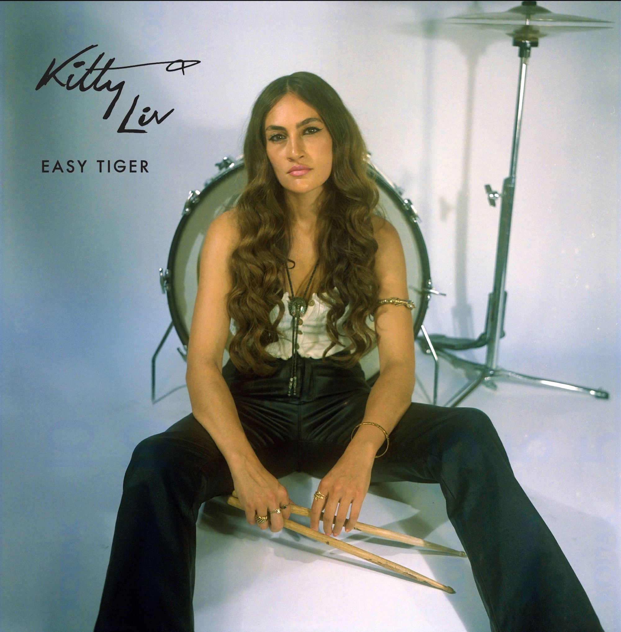 Oeuvre de Kitty Liv 'Easy Tiger'