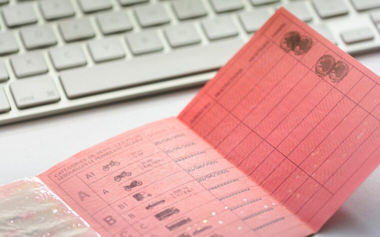 permis de conduire rose