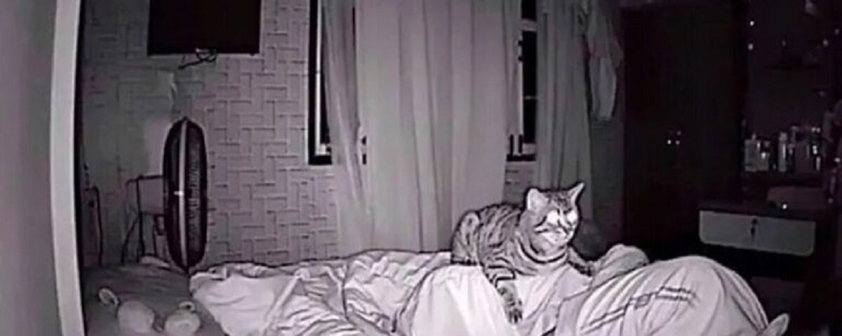 Son chat l’observe toute la nuit, il décide de filmer et découvre pourquoi ?