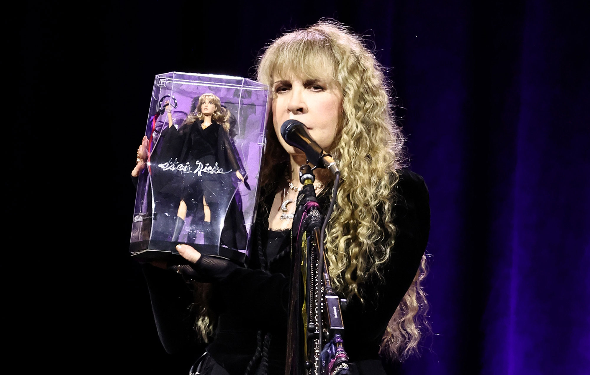 Stevie Nicks