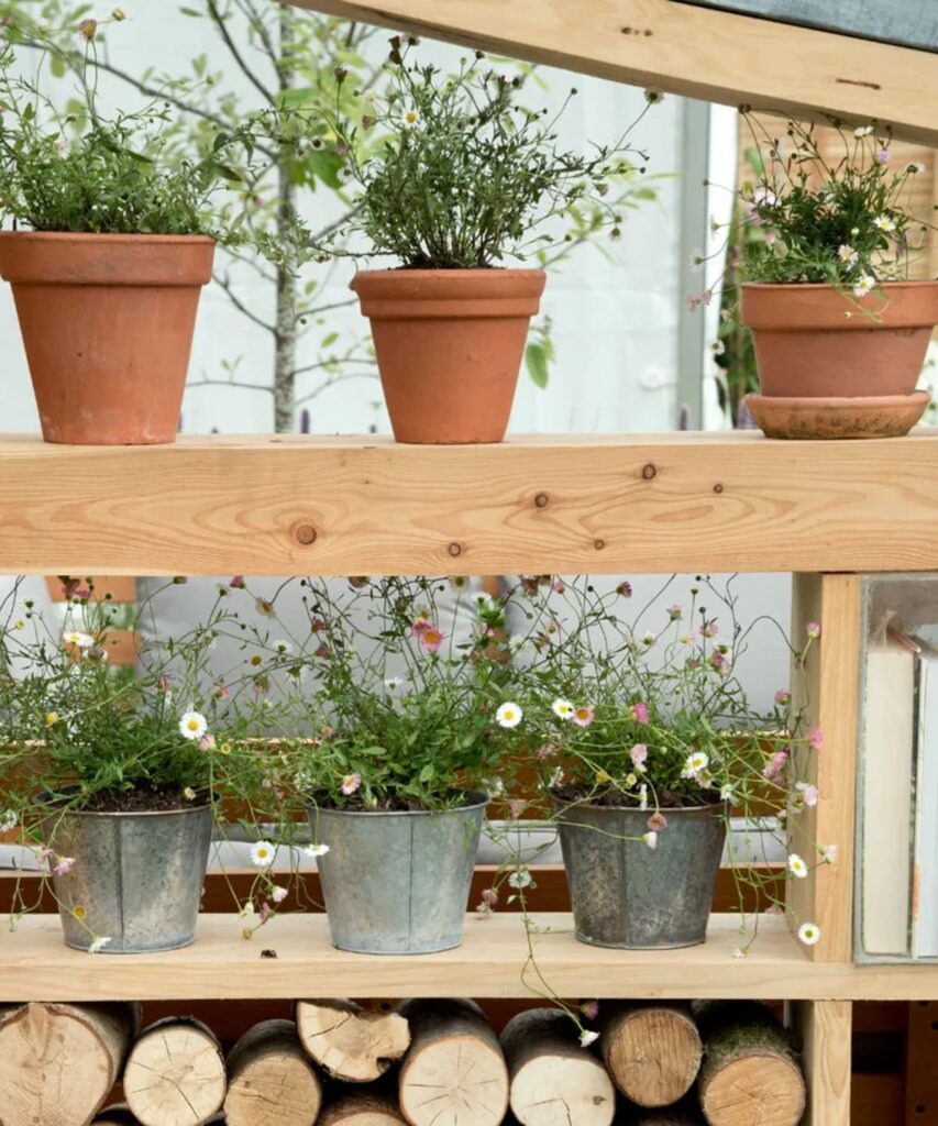 patio avec des étagères