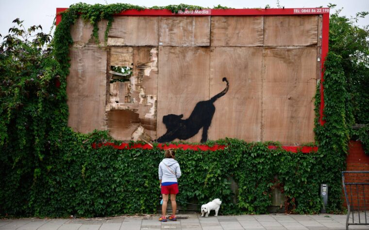Banksy explique l'importance de sa sixième œuvre d'art animalière à Londres