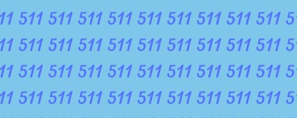 Défi d’observation : Trouvez le 571 parmi 511 en moins de 20 secondes, testez vos compétences visuelles !