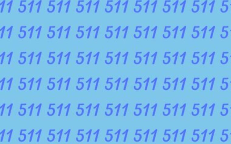 Défi d'observation trouvez le 571 moins 20 secondes