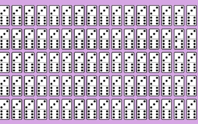 Identifier le domino différent defi