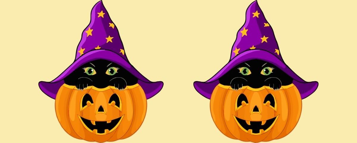 Pouvez-vous trouver les 4 différences en moins de 20 secondes ? Lancez-vous dans cette édition spéciale Halloween avec un chat noir niché dans une citrouille. Pouvez-vous trouver les 4 différences en moins de 20 secondes ? Lancez-vous dans cette édition spéciale Halloween avec un chat noir niché dans une citrouille.