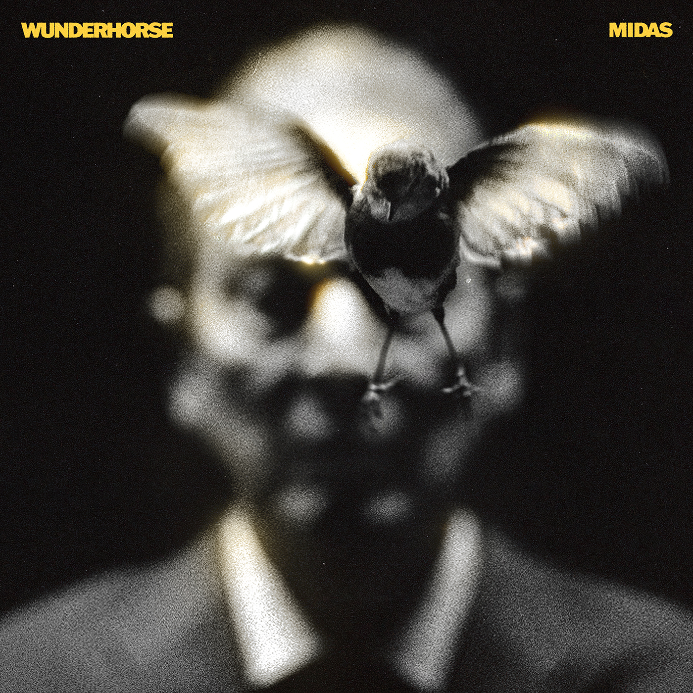Couverture de l'album 