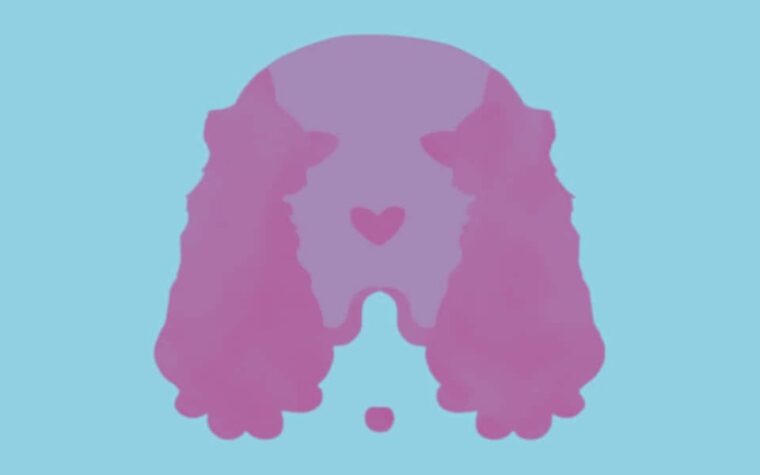 test de personnalité animalier