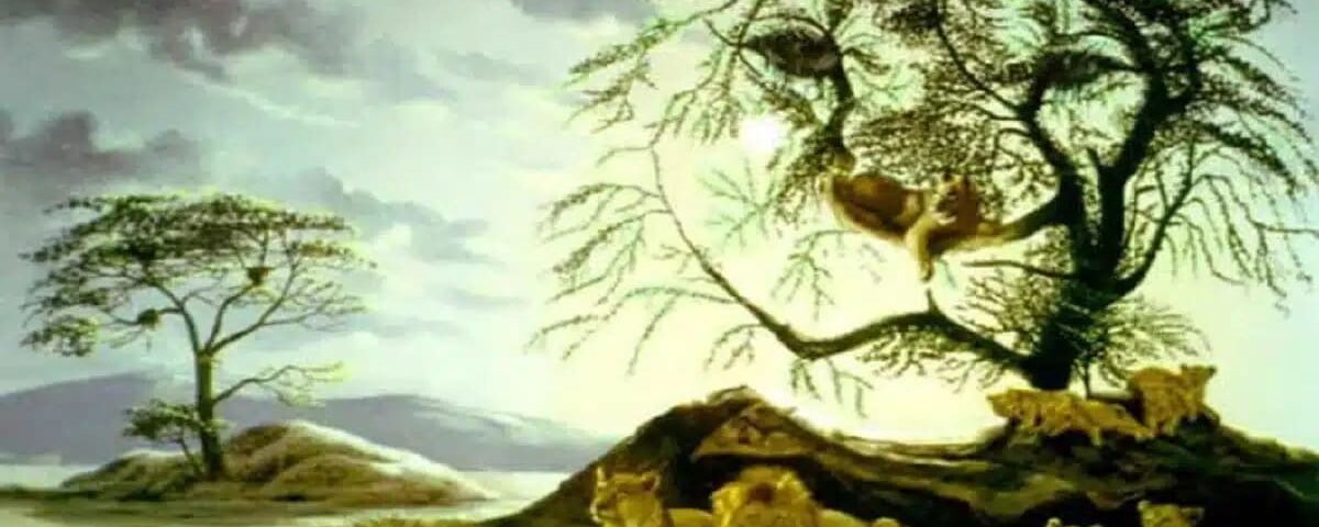 Combien de lions voyez-vous ? Votre réponse pourrait révéler votre âge mental