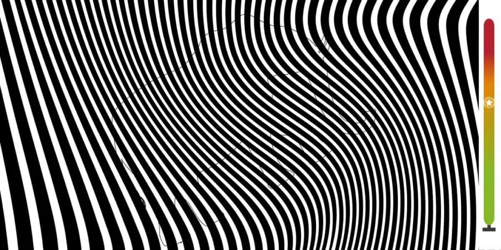 test illusion optique animal dissimulé