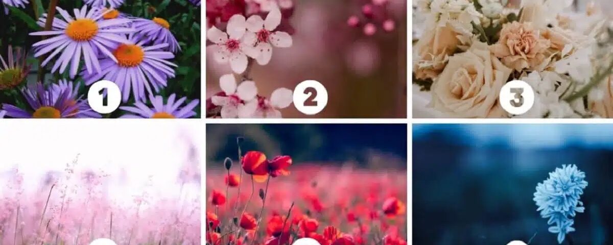 Test de personnalité : ce que la fleur que vous choisissez révèle sur votre essence