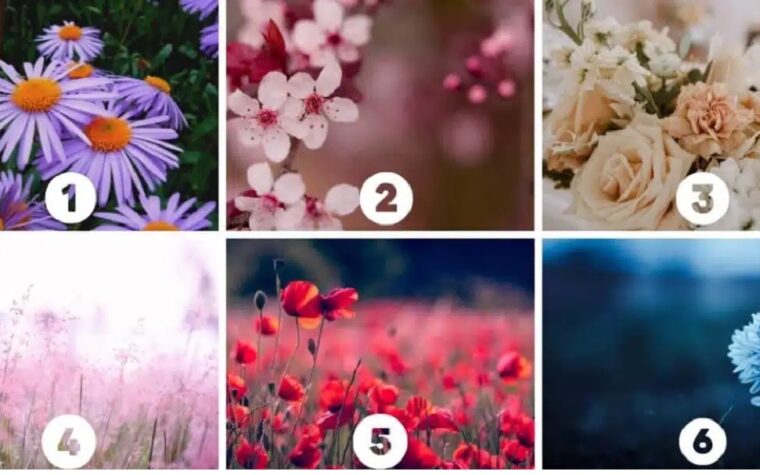 Ce que la fleur que vous choisissez révèle sur votre essence