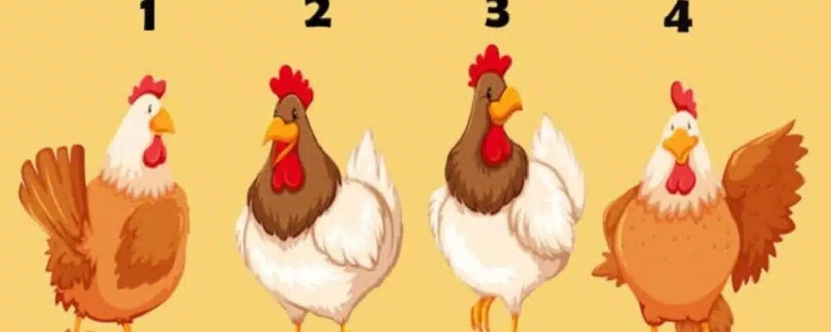 Curieux de savoir ce que les autres pensent de vous ? Ce test de personnalité vous éclairera