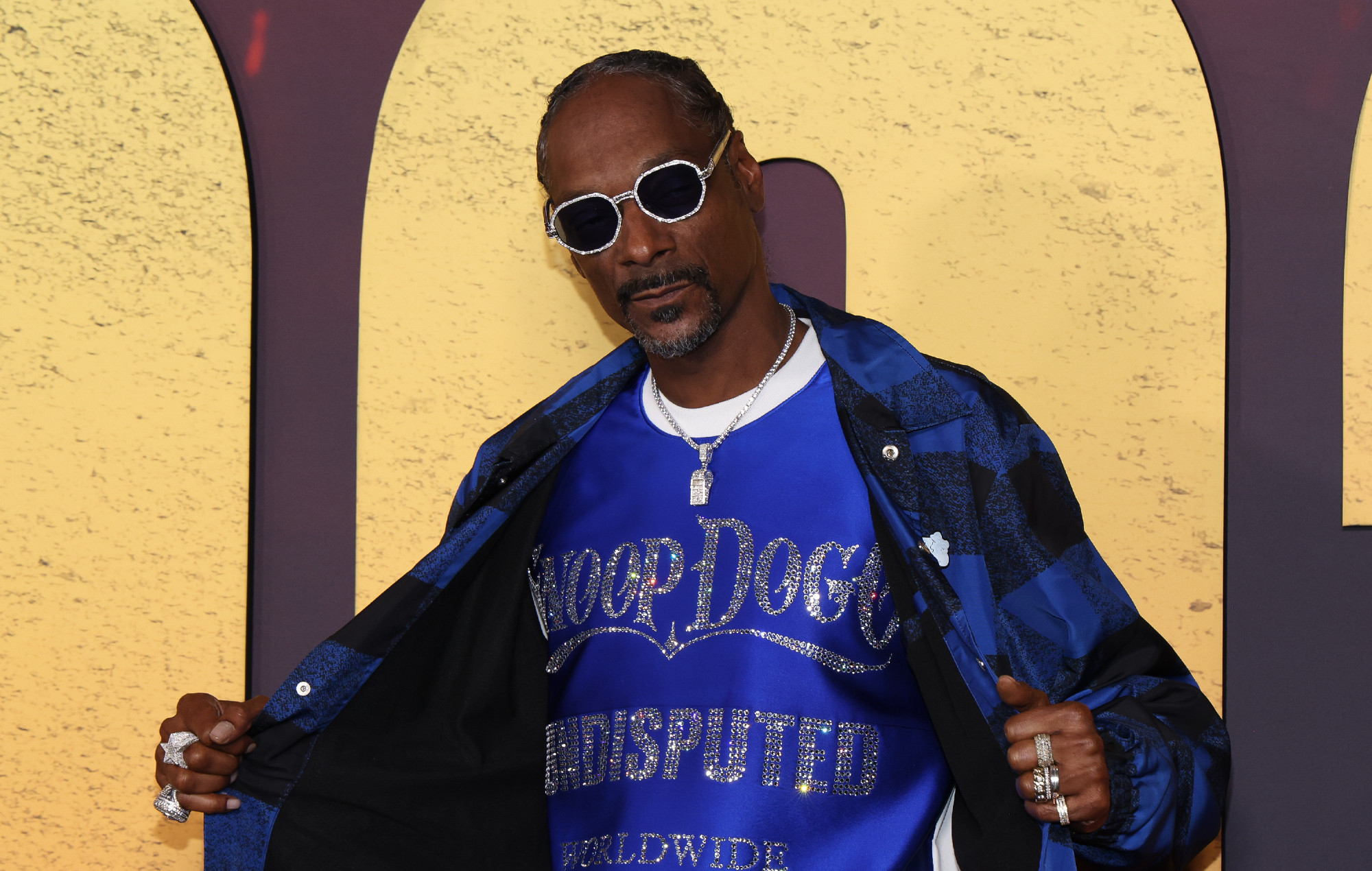 Snoop Dogg. Crédit photo : Mark Von Holden/Variety via Getty Images