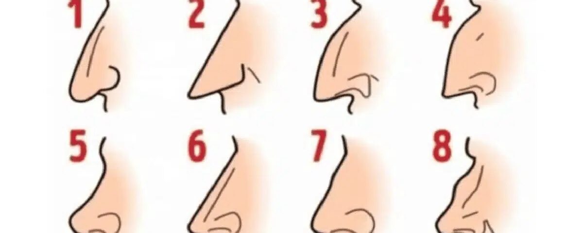 La forme de votre nez et son impact inconscient sur les autres