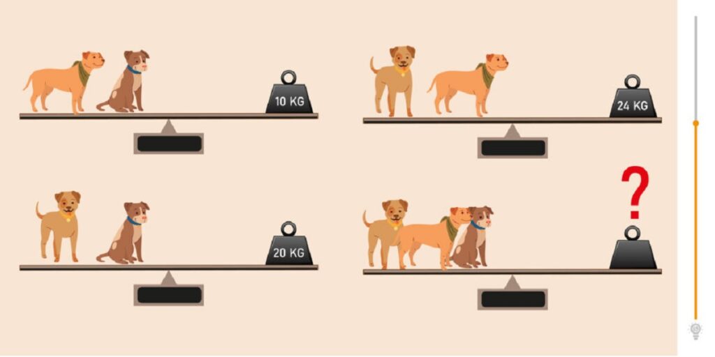 Test de poids pour trois chiens defi