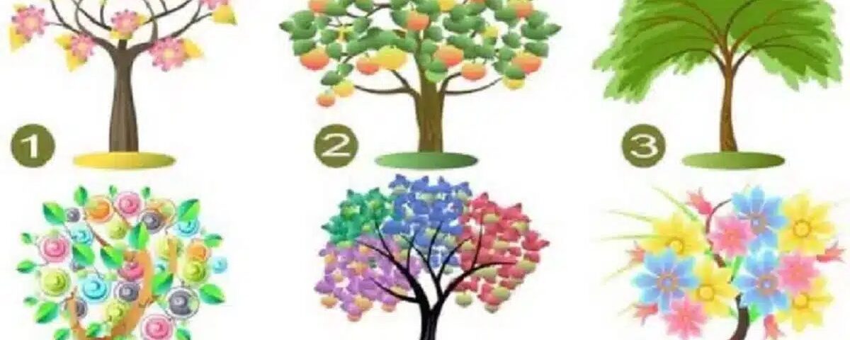 Quel arbre vous attire instinctivement ? Découvrez ce que cela révèle sur vous