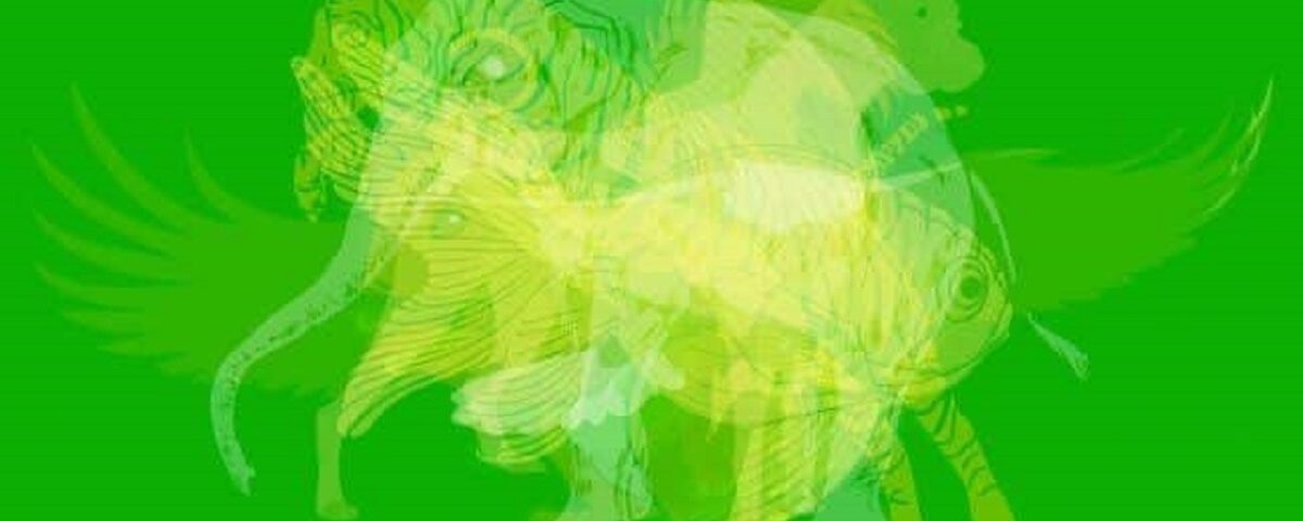 Quel est cet animal ? Votre première réponse peut révéler votre personnalité secrète