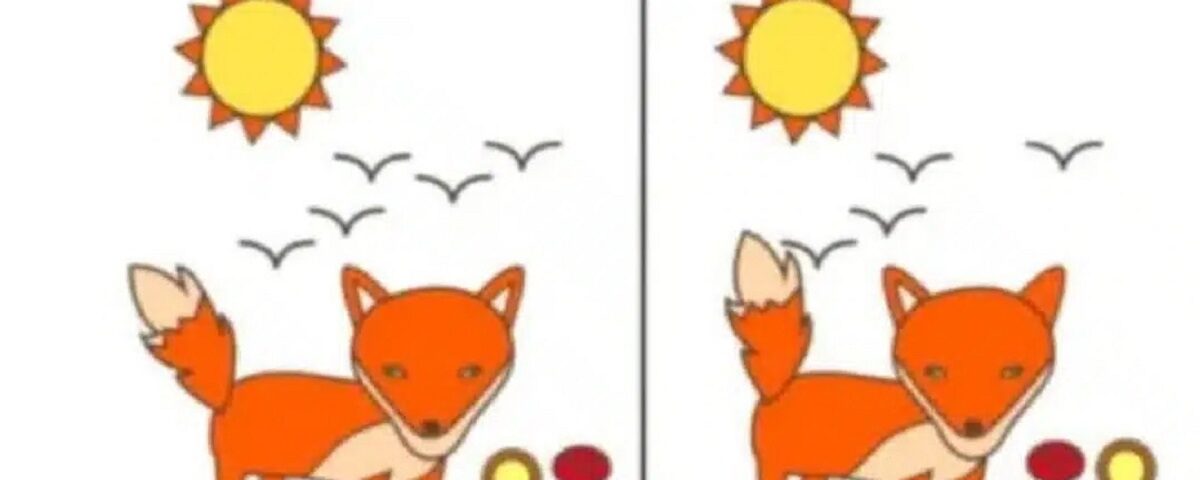 Ces deux renards ne sont pas identiques : 79,07% des adultes ne parviennent pas à voir les différences