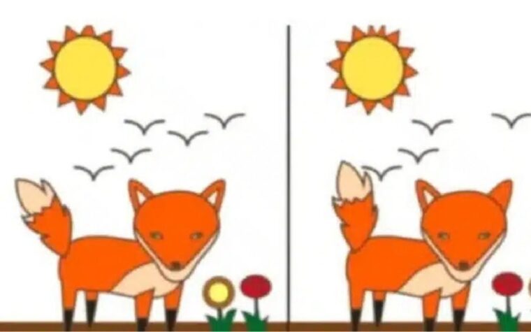 Ces deux renards ne sont pas identiques