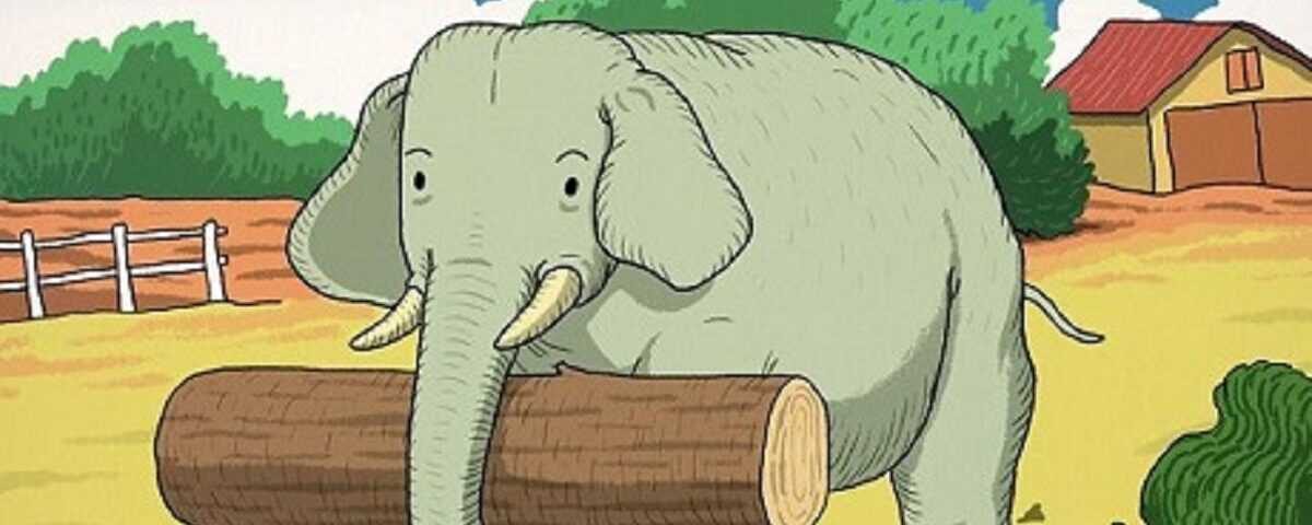 Test d’illusion d’optique pour évaluer votre QI : À peine 1 % des gens réussissent à déceler l’animal caché dans la ferme de l’éléphant en 11 secondes ! Test d’illusion d’optique pour évaluer votre QI : À peine 1 % des gens réussissent à déceler l’animal caché dans la ferme de l’éléphant en 11 secondes !