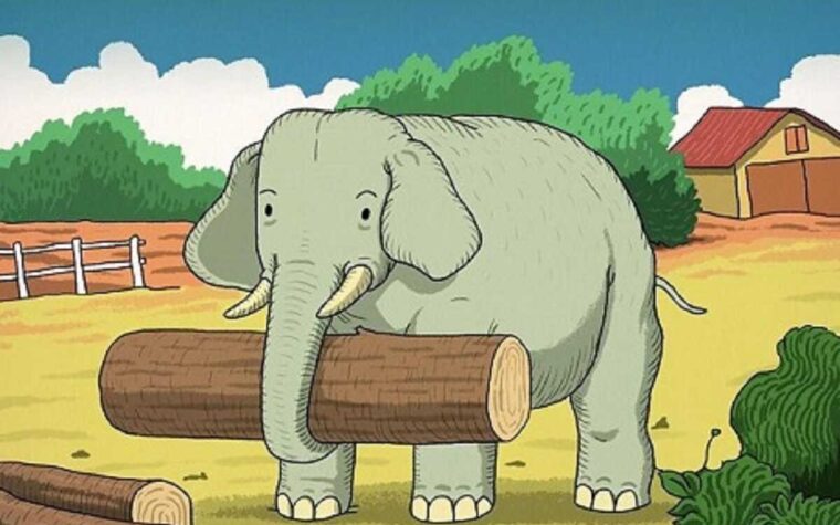 Déceler l'animal caché dans la ferme de l'éléphant