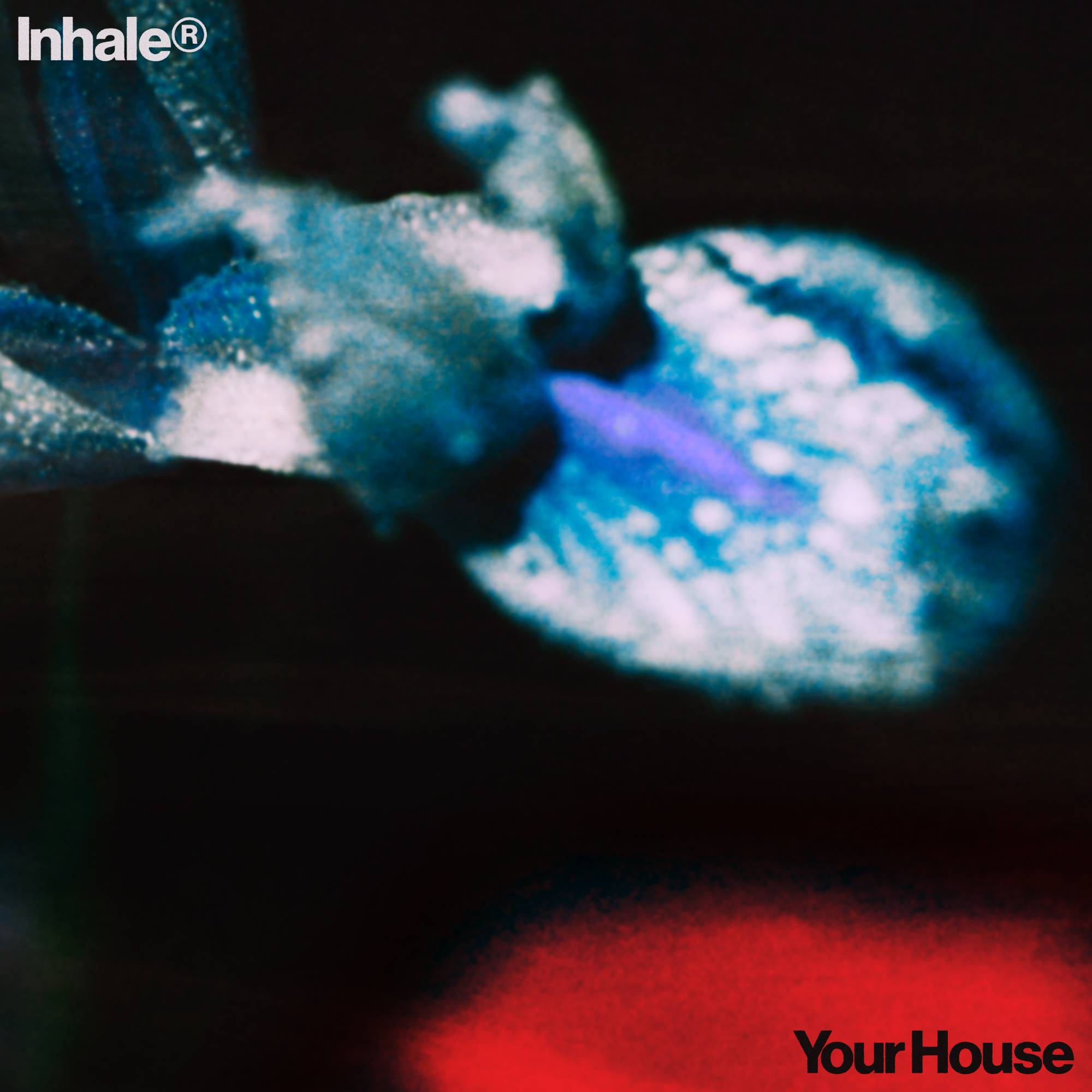 Oeuvre unique de l'inhalateur 'Your House'. Crédit : PRESSE