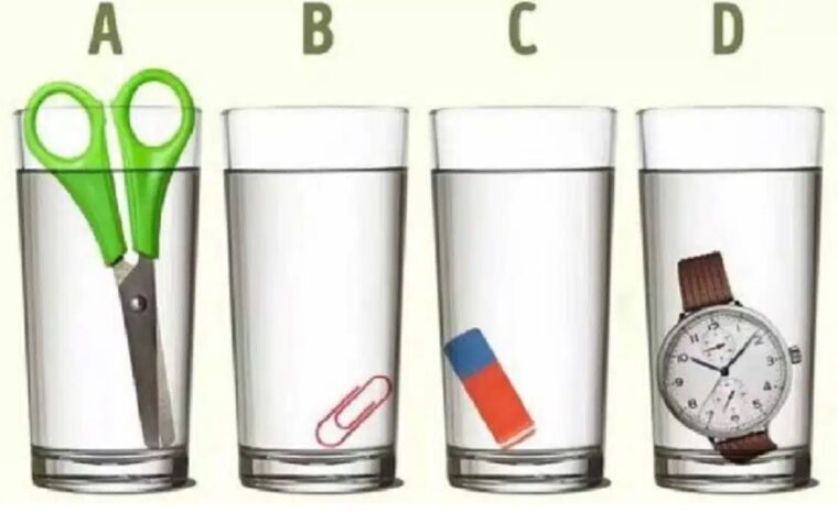 Quel verre contient le plus d'eau ?