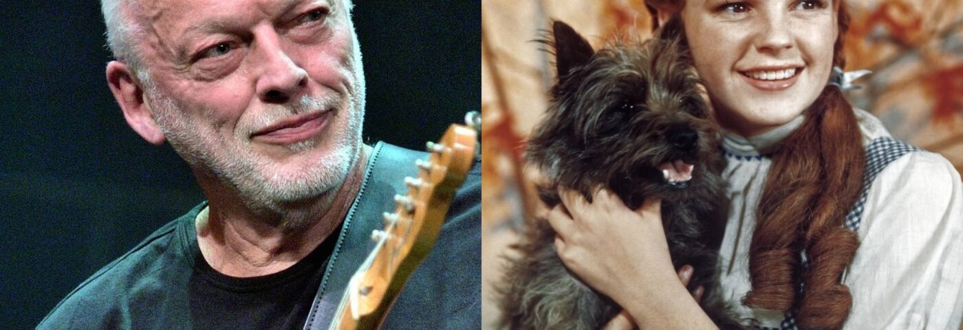 David Gilmour répond aux rumeurs selon lesquelles « The Dark Side Of The Moon » de Pink Floyd aurait été écrit pour se synchroniser avec « The Wizard Of Oz »