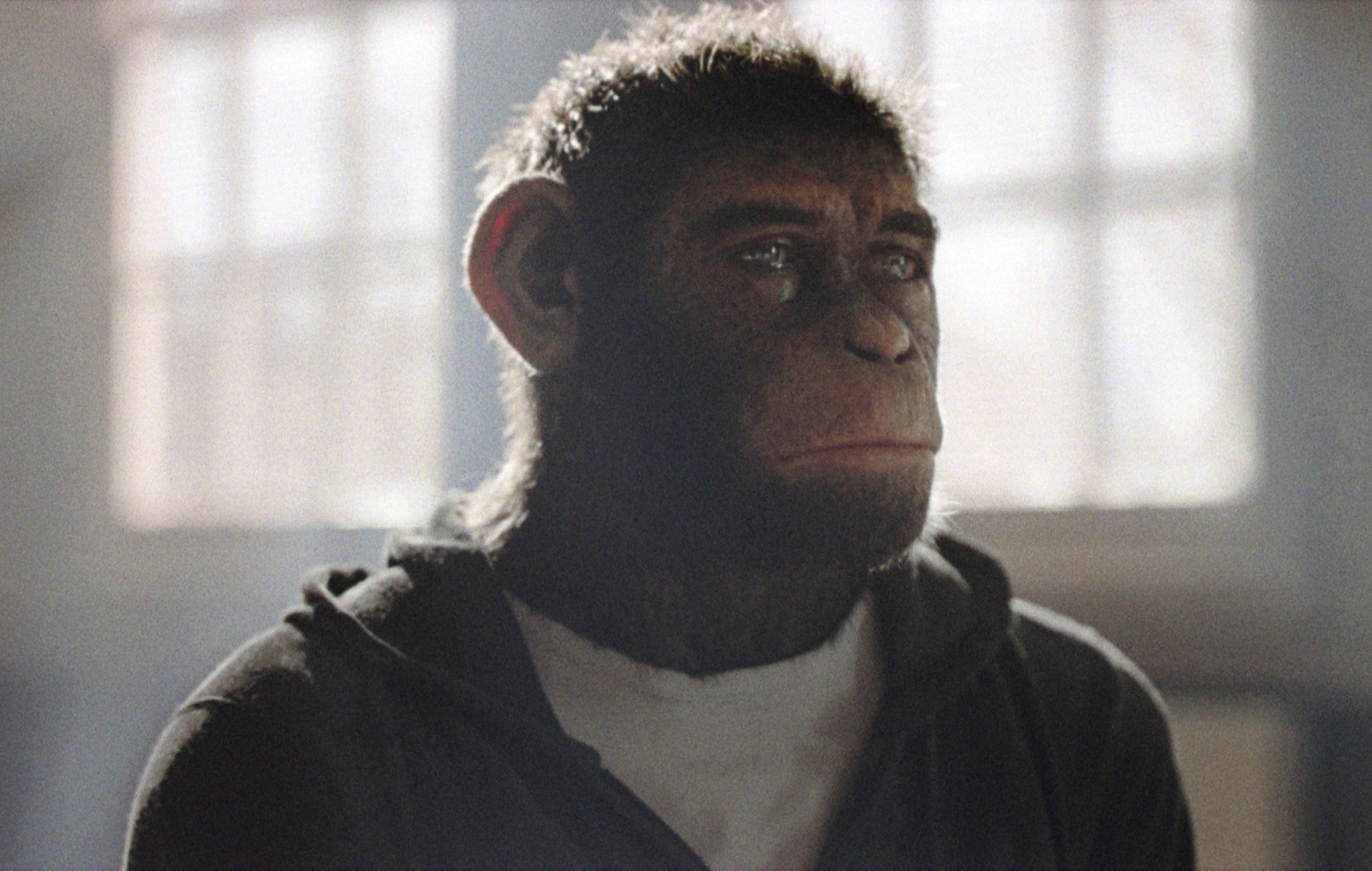 Une image tirée du biopic de Robbie Williams 