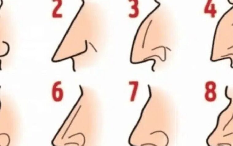 Ce que la forme de votre nez révèle