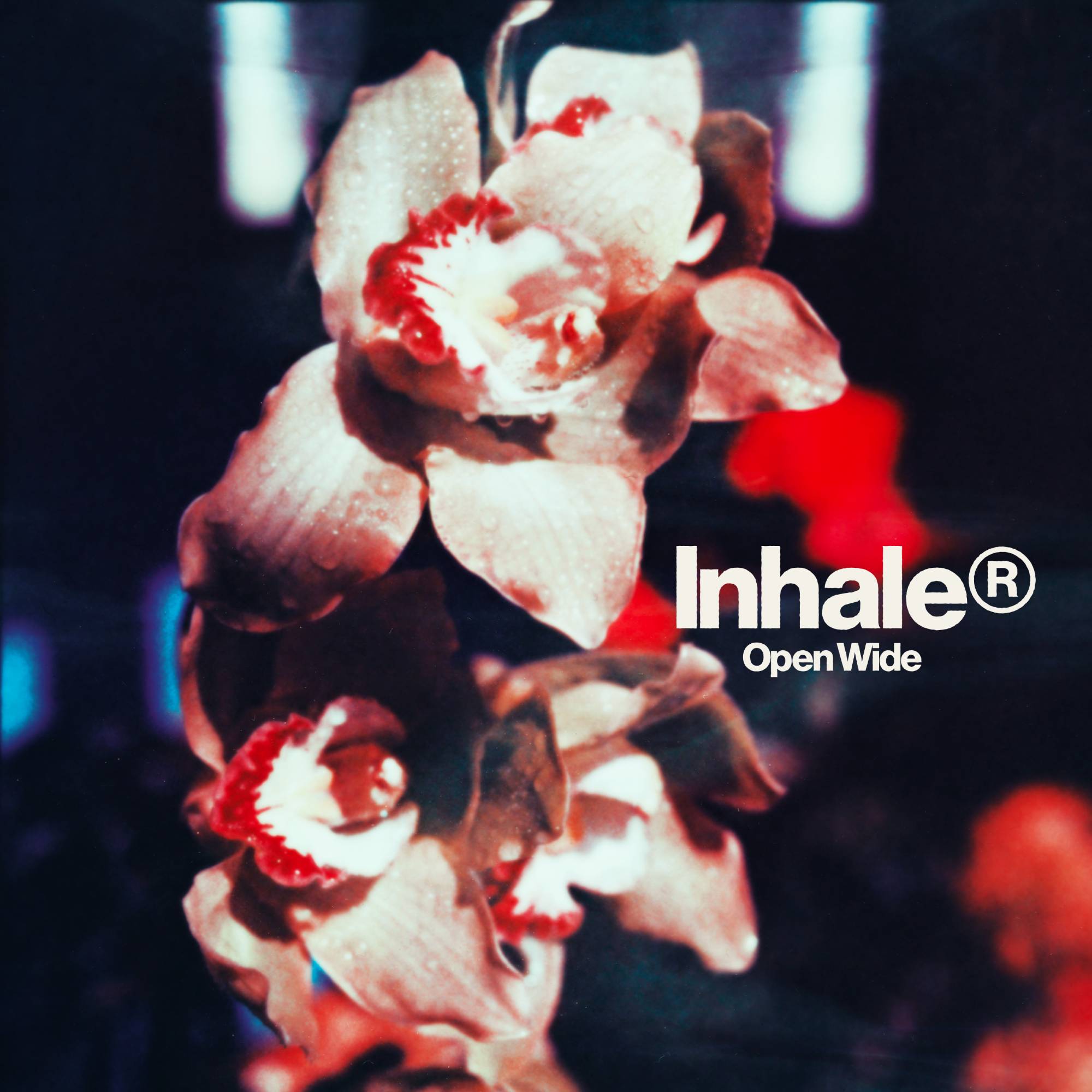 Illustration de l'album Inhaler « Open Wide ». Crédit : PRESSE