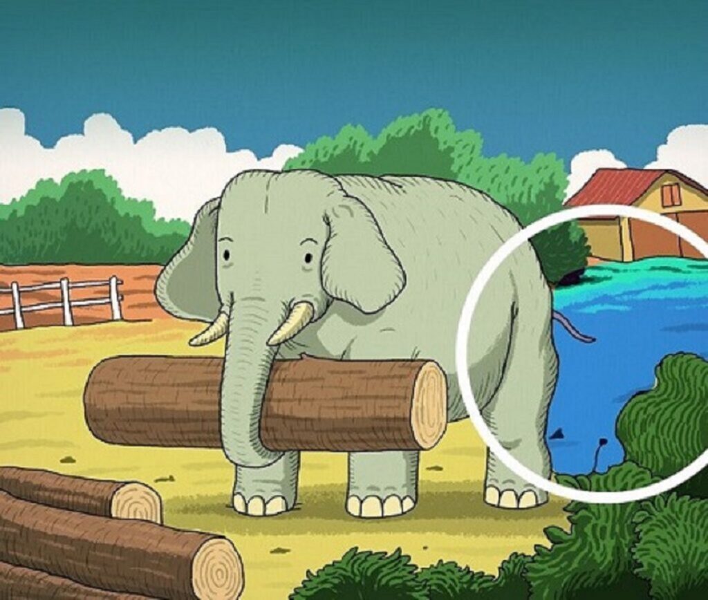 Identifiez l'animal caché sur une image de ferme - solution