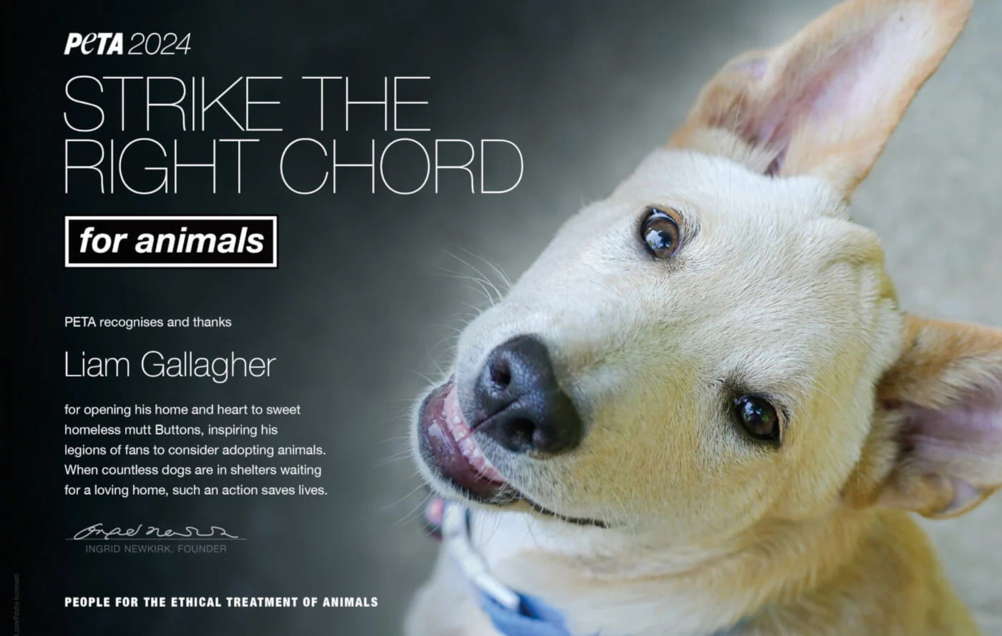 Prix ​​​​« Strike the Right Chord for Animals » de PETA