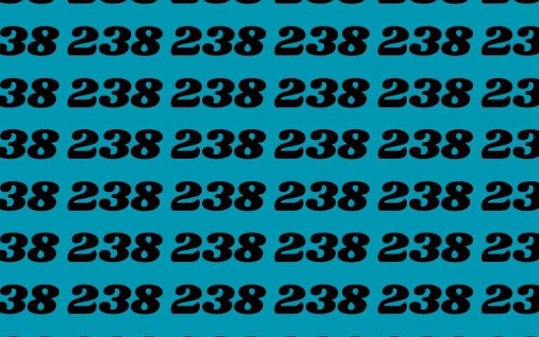 Trouvez le nombre 288 parmi les 238 en moins de 20 secondes