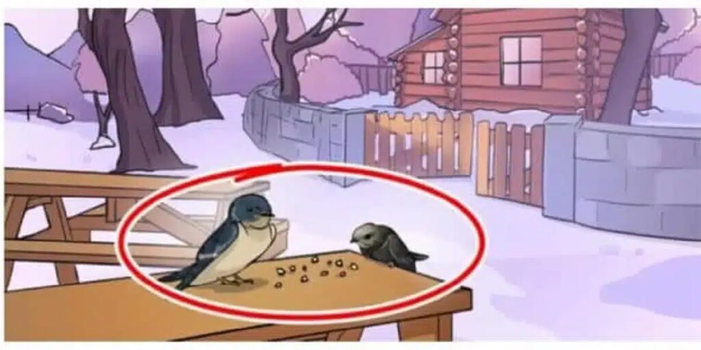 Trouvez l'erreur dans cette image solution