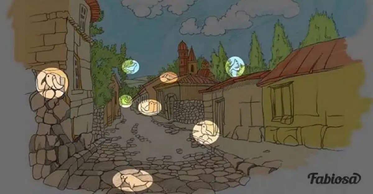 Combien d'oiseaux pouvez-vous identifier ? En reconnaître 8 prouve un QI  supérieur - ZikNation