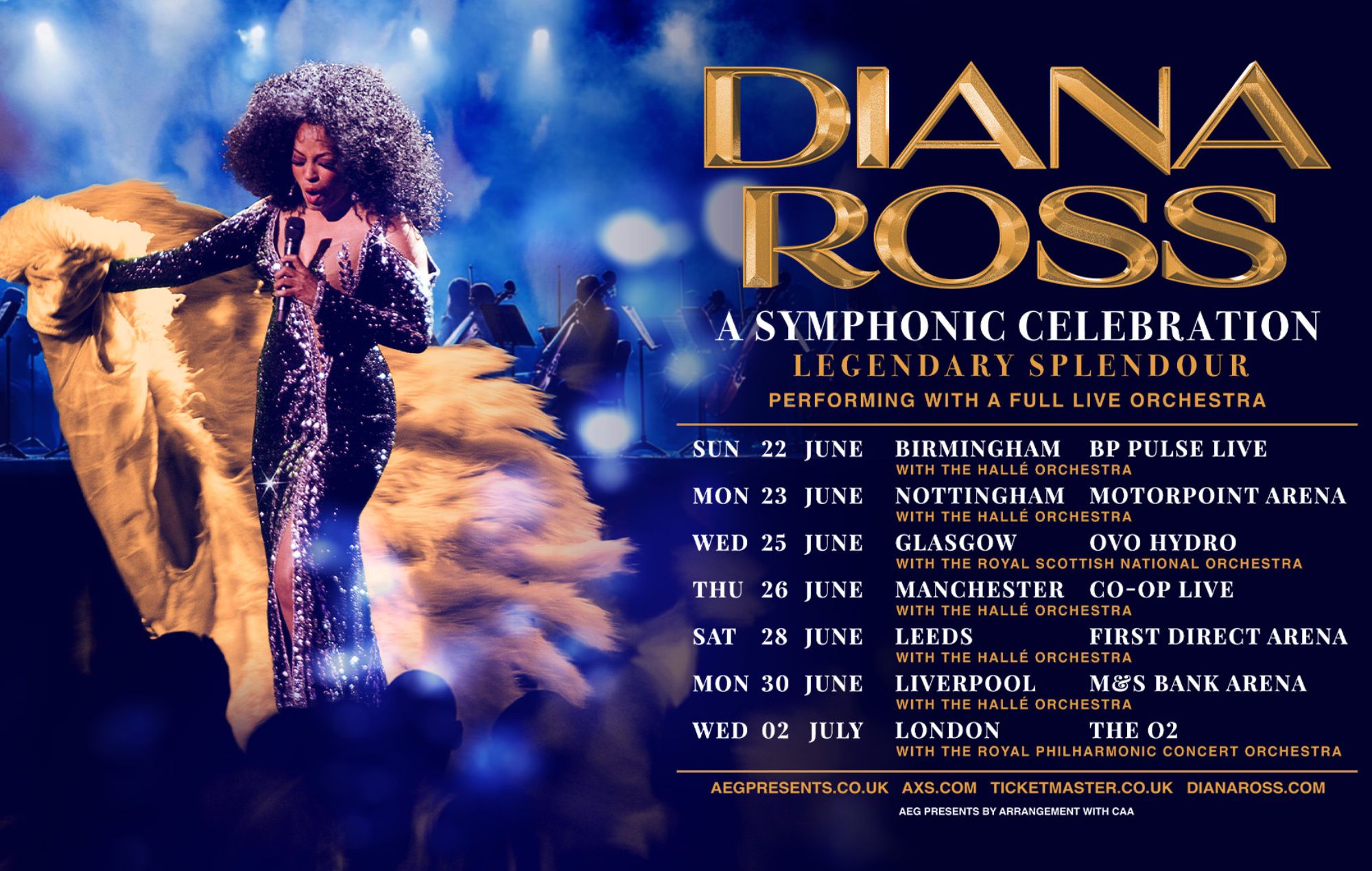 Affiche de la tournée Diana Ross 2025