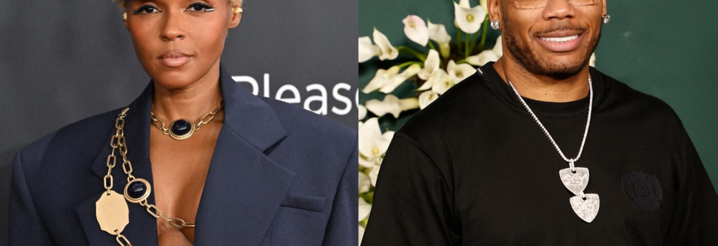 Janelle Monáe appelle « Fool Mother Fool » Nelly pendant les afterparts de Grammys pour avoir joué l'inauguration de Trump