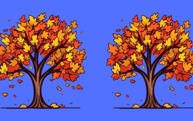 4 différences entre ces 2 arbres d'automne