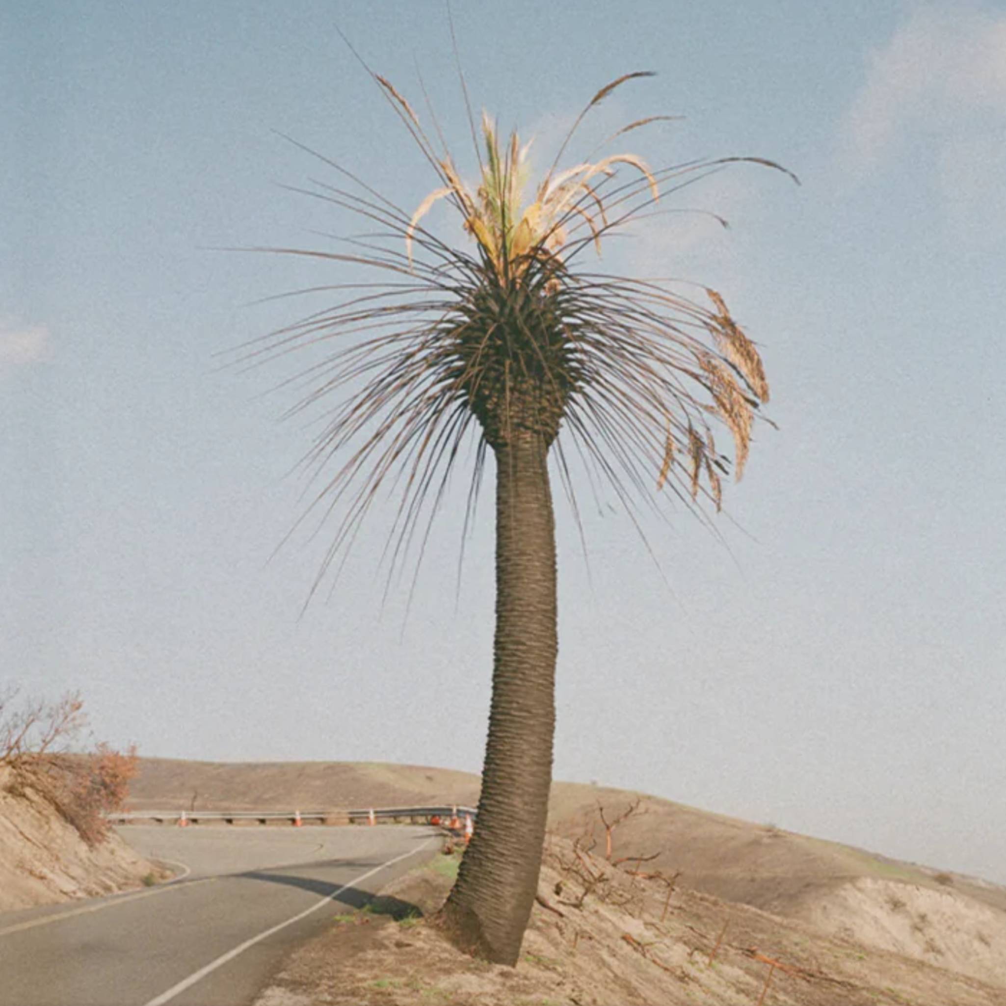Big Thief «RELATIONS DES RELATIONS DES PASSIONS» EP. Crédit: appuyez sur