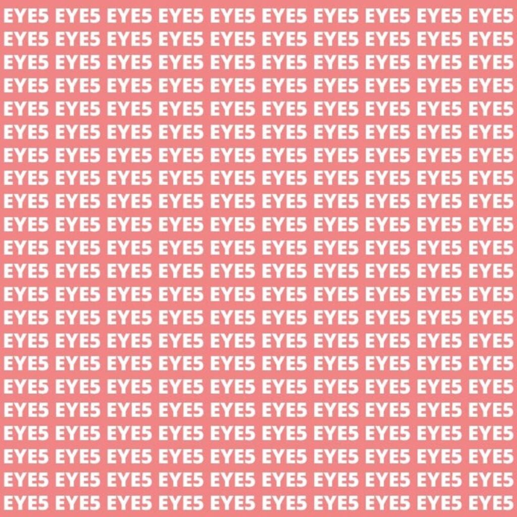 Casse-tête visuel EYE5