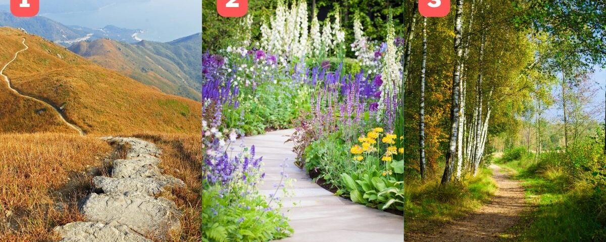 Test de personnalité : Découvrez qui vous êtes vraiment en choisissant l’un de ces chemins en pleine nature !