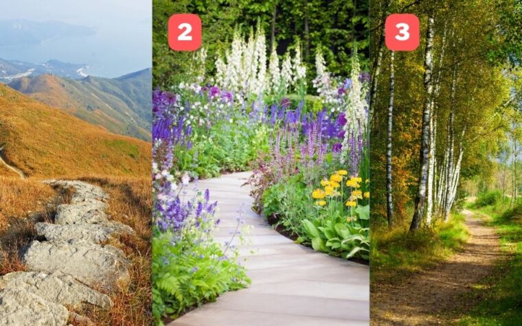 Test de personnalité : Découvrez qui vous êtes vraiment en choisissant l’un de ces chemins en pleine nature !